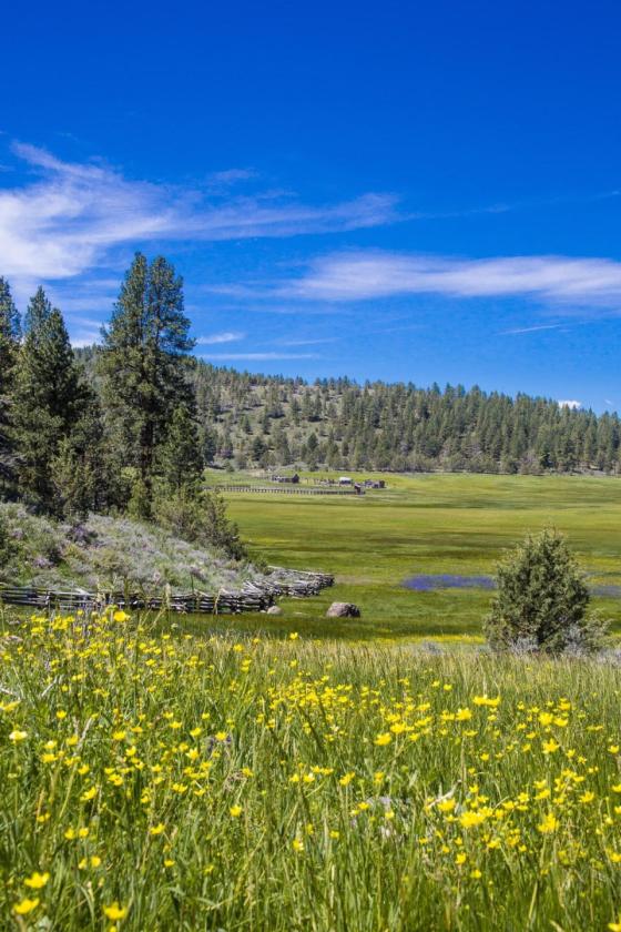 Aspen Ridge Ranch - photo 9
