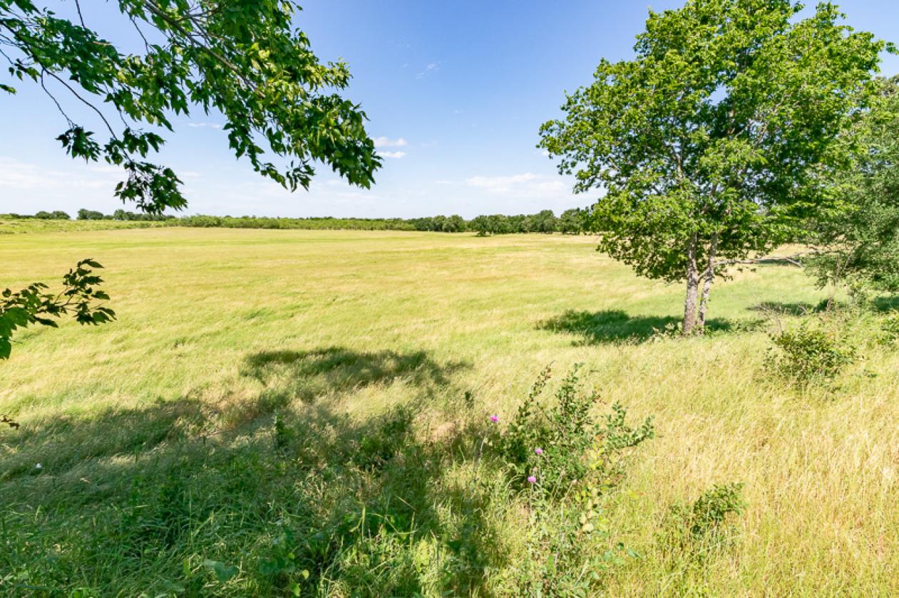 117.5 Acre Horse & Cattle & Rec. Property - photo 23