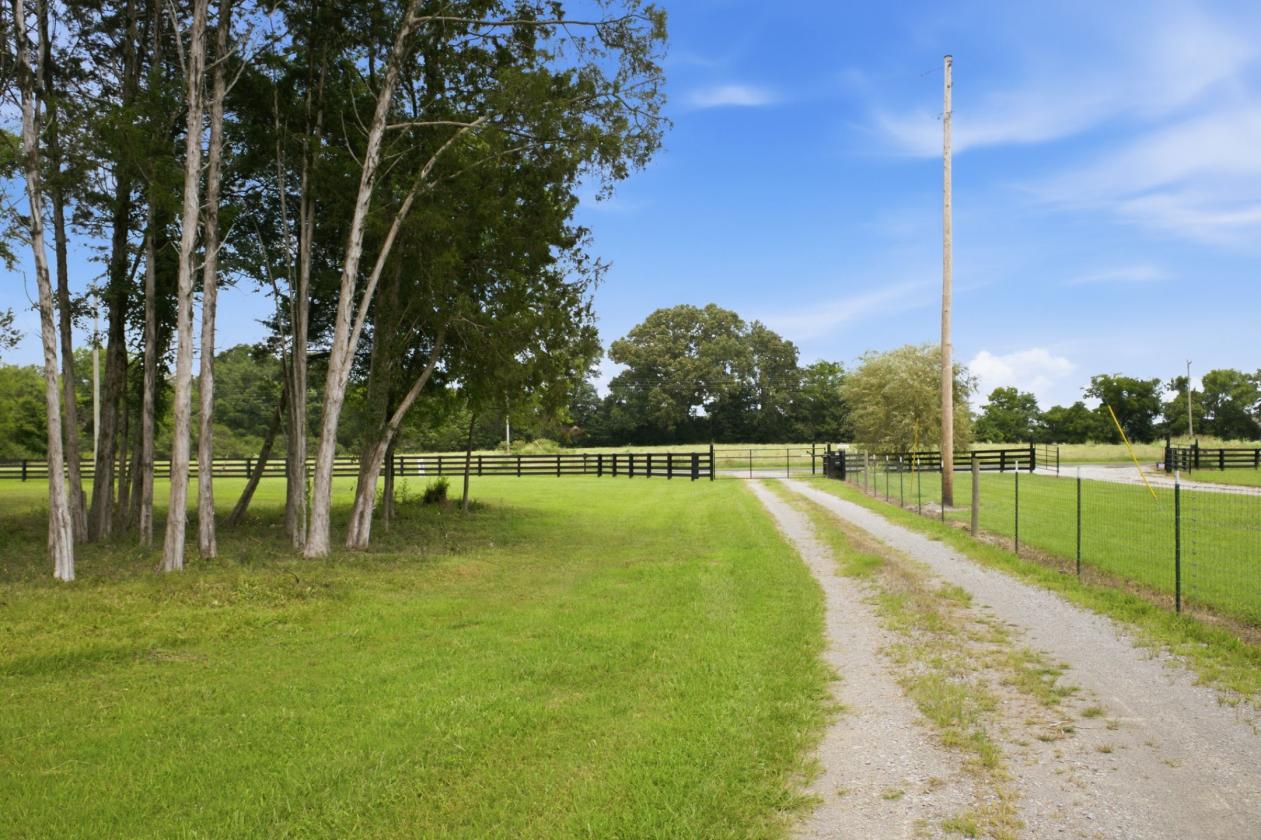 Peaceful 10 Acres/Renovated Home - photo 6