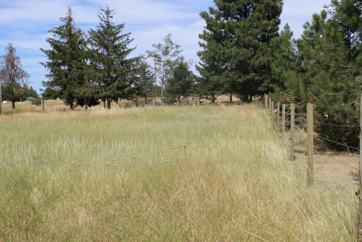 20 Acre horse property - photo 5