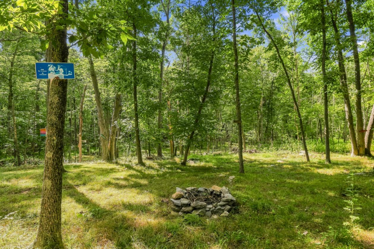 Private 5+ Acre Mountain-Top Equestrian Property - photo 30