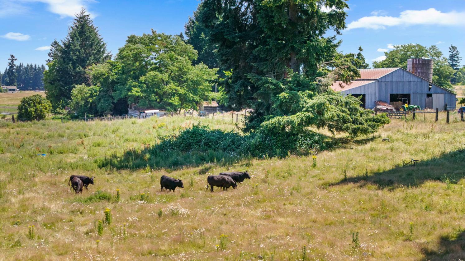 13.35 Acre Working Farm in Yelm, WA! - photo 9