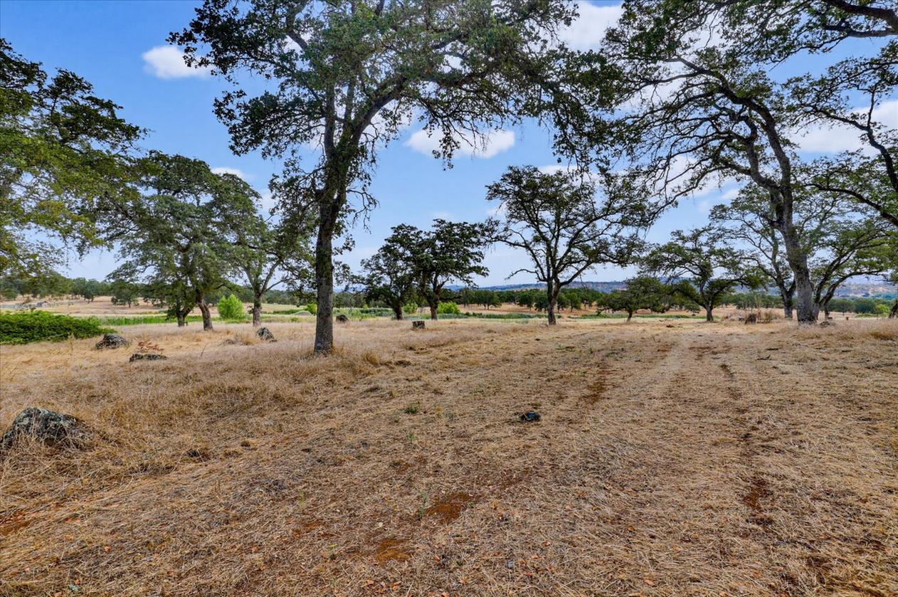 Premier 20-Acre Equestrian Estate - photo 22