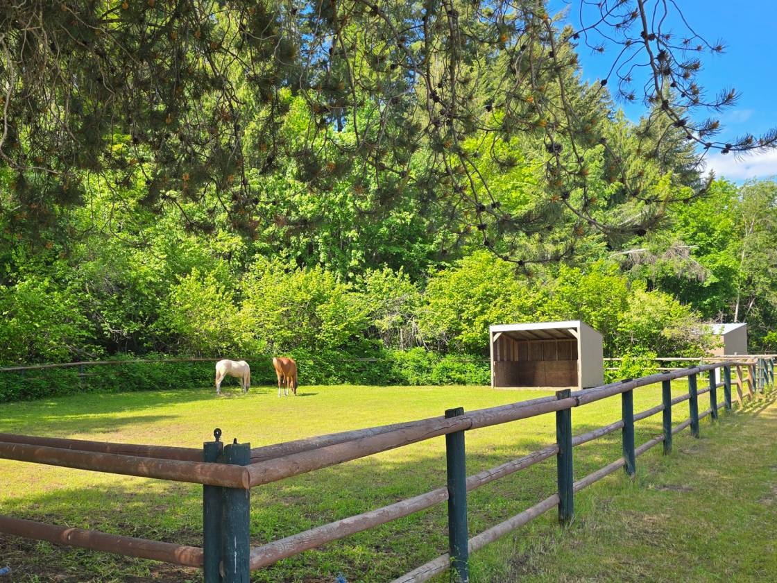 Equestrian Dream Estate - photo 25
