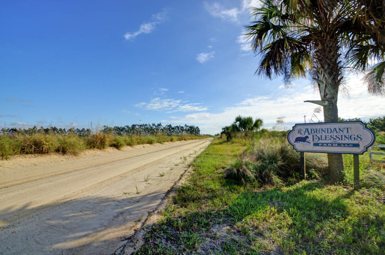 Enjoy the Country Life on a 20 Acre Farm Home! Vero Beach, Indian