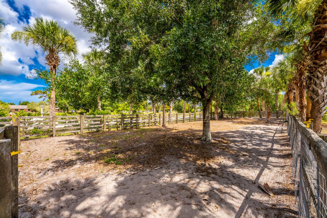 Premier 5 Acre Equestrian Estate - photo 12