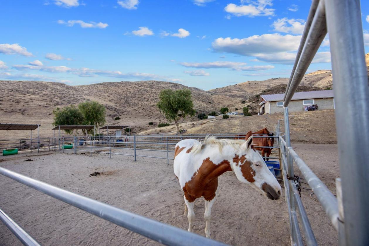 BEAUTIFUL AGUA DULCE VIEWS 160 ACRES - photo 29