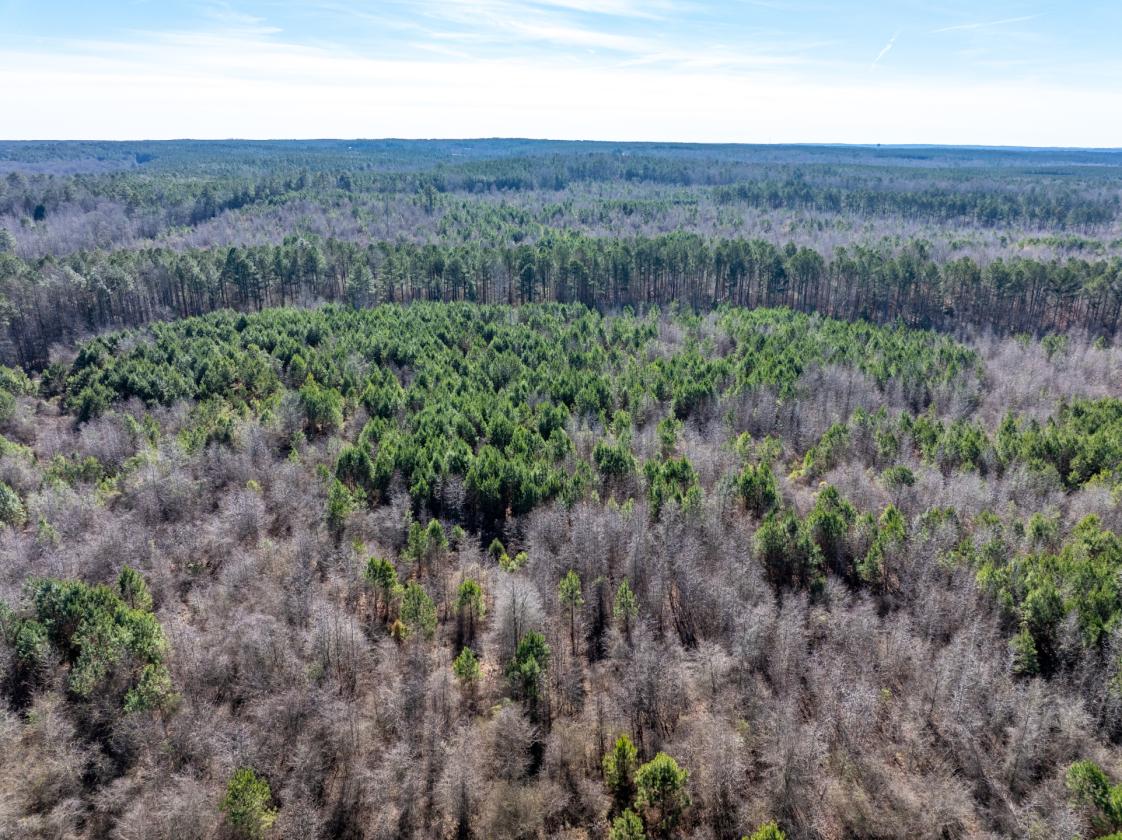 211 Acres- Luxury Estate & Equestrian Development - photo 12