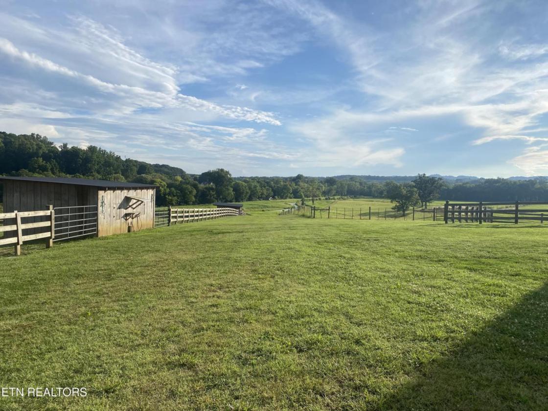 Exceptional horse ranch on 52 acres - photo 30