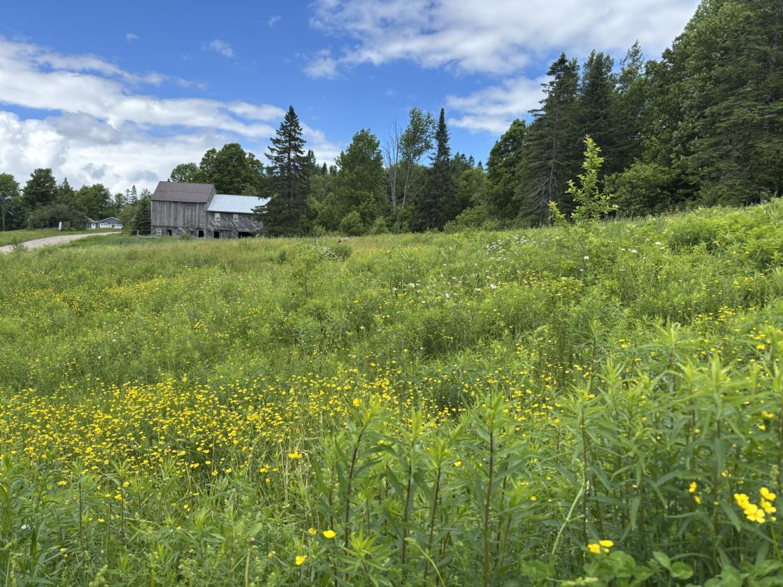 Horse Property with Stunning Views and Log Home - photo 10