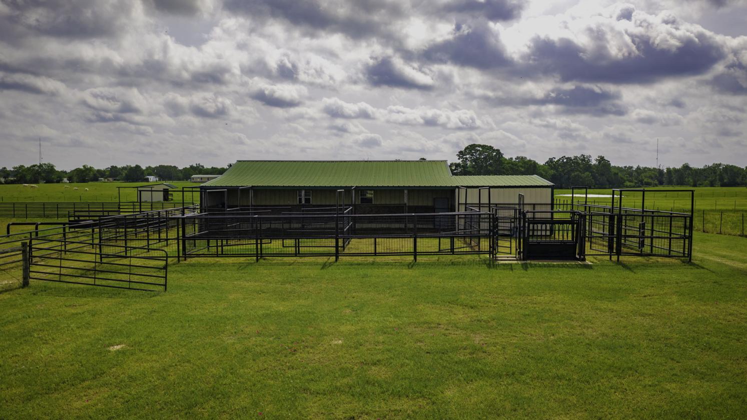 Premier Property with Luxury Home, Barn, and Arena - photo 8