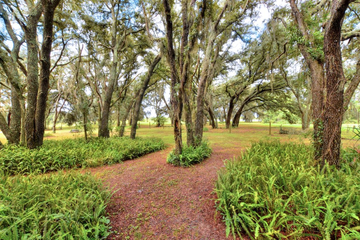 A Truly Private Horse-Lover’s Dream! - photo 8