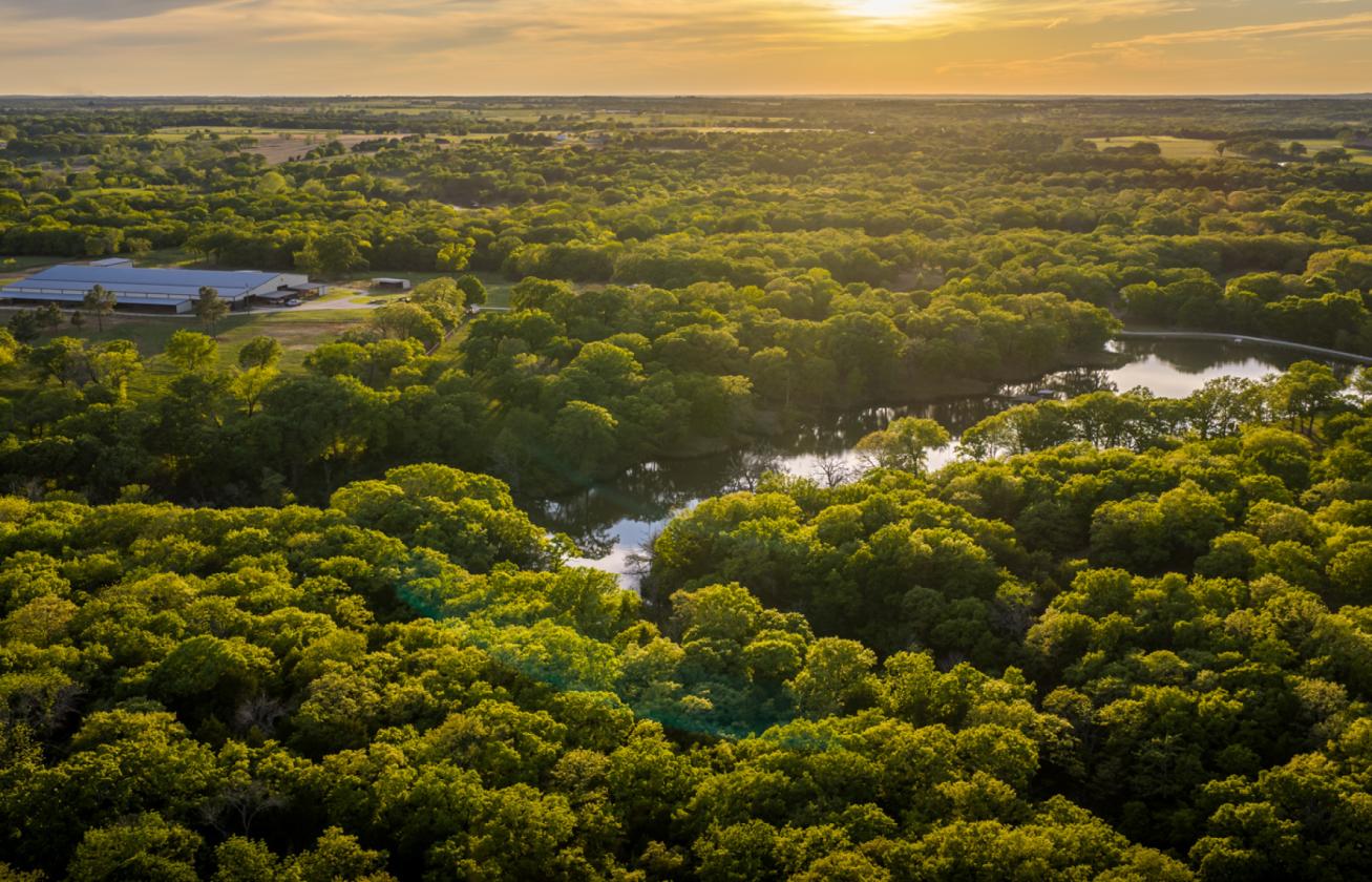 Spirit Ranch - Luxury NTX Equestrian Estate - photo 16