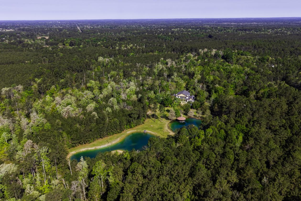 Fully Fenced 56+ Acre Estate - photo 5