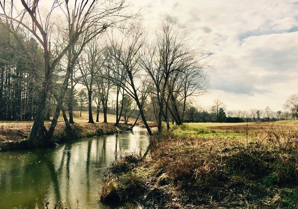 200 Acres 4 ponds yearround creek 5000 sq barn with... Bonnerdale