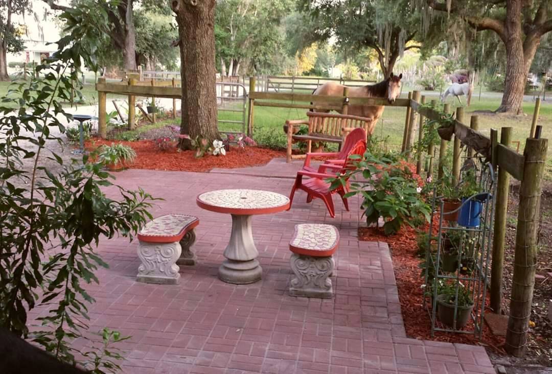 10 acre horse property Affordable in the desirable Lithia area