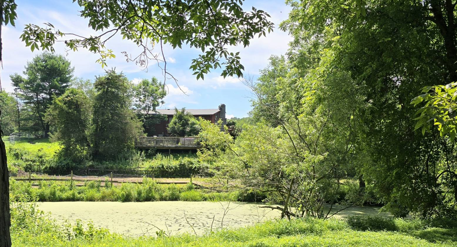 Horse Property for sale.