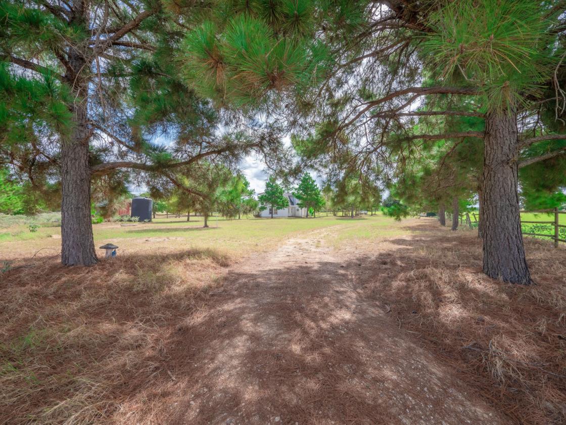 One-of-a-Kind Country Estate on 30 Acres - photo 4