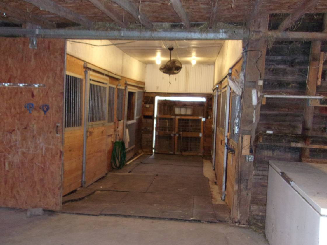 Horse Farm, 8 acres, 5 bed, 3 bath home with... Candor, Tioga County