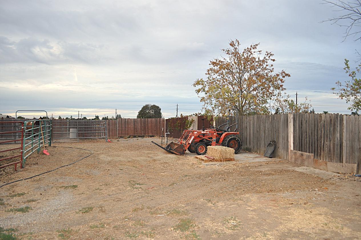In-Town Horse Property with Charming Ranch Home - photo 6