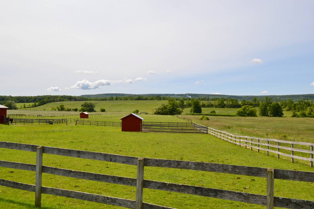 STUNNING HORSE FARM & FARM HOUSE WITH A VIEW... Canajoharie