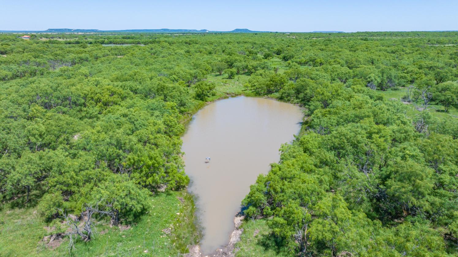 535-Acre West Texas Ranch Near Abilene Texas - photo 19