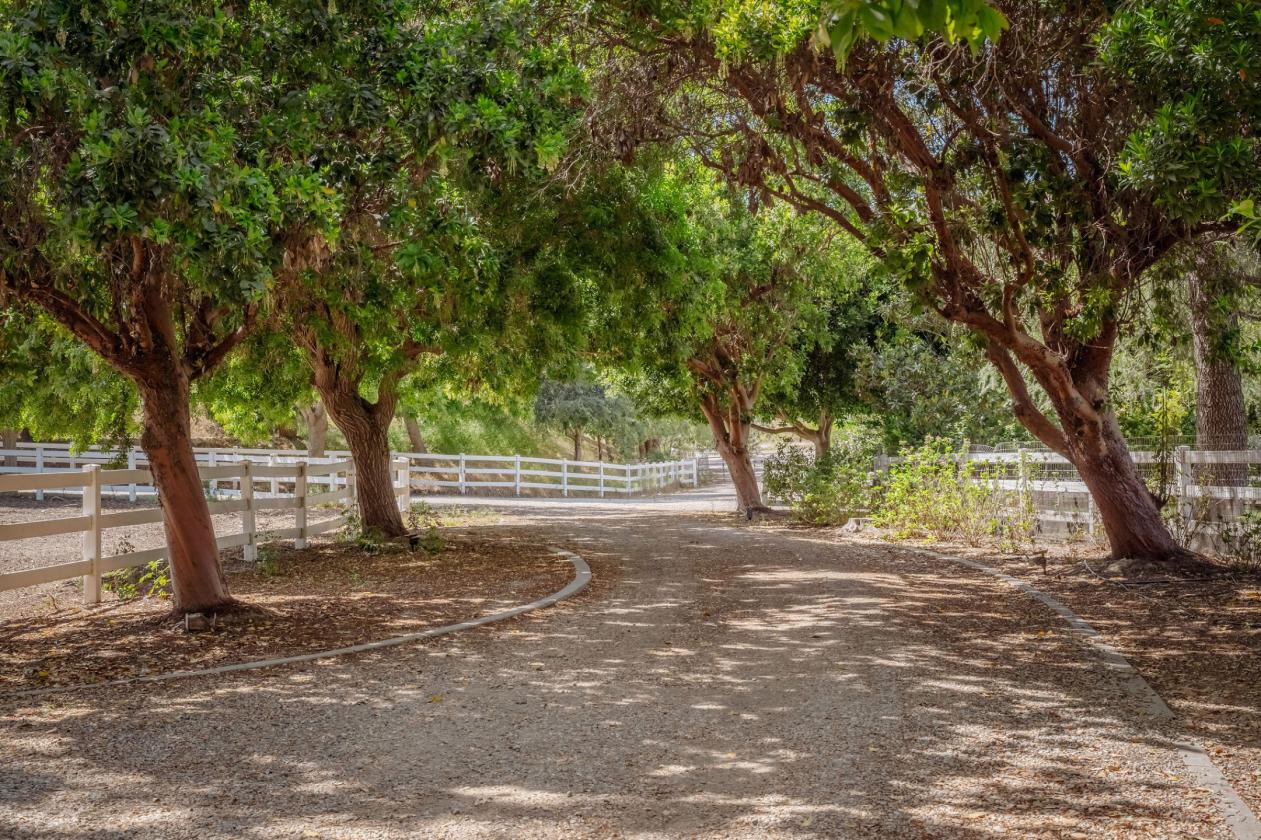 A Private Equestrian Sanctuary - photo 10