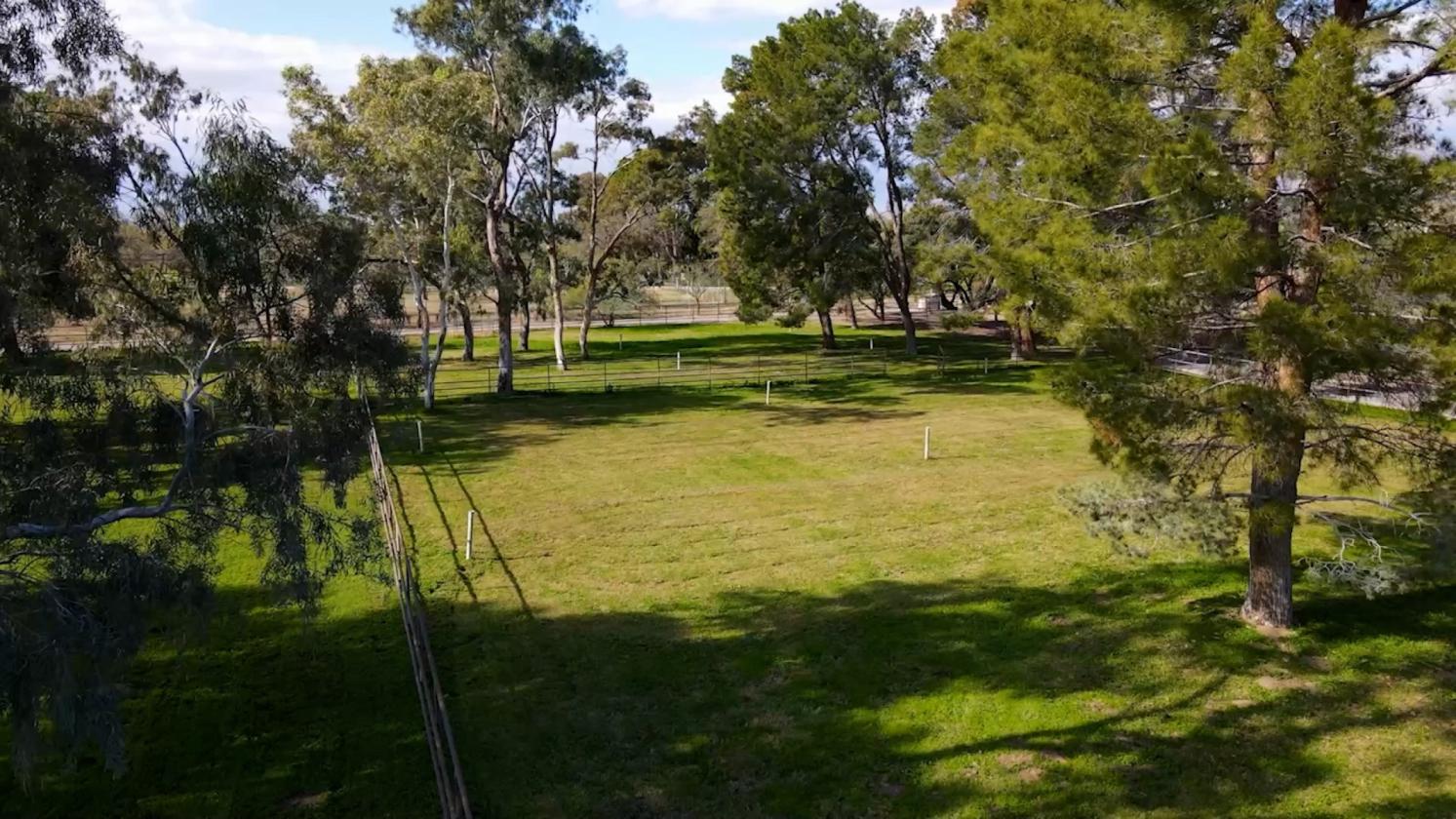 Elegant Custom Home with Grass Pastures - photo 6