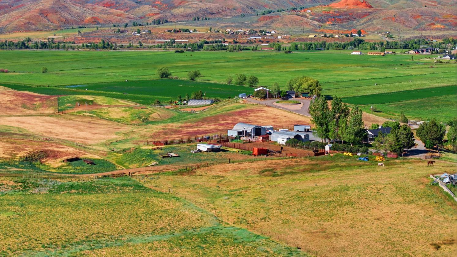 117-Acre Horse Property & Farm - photo 14