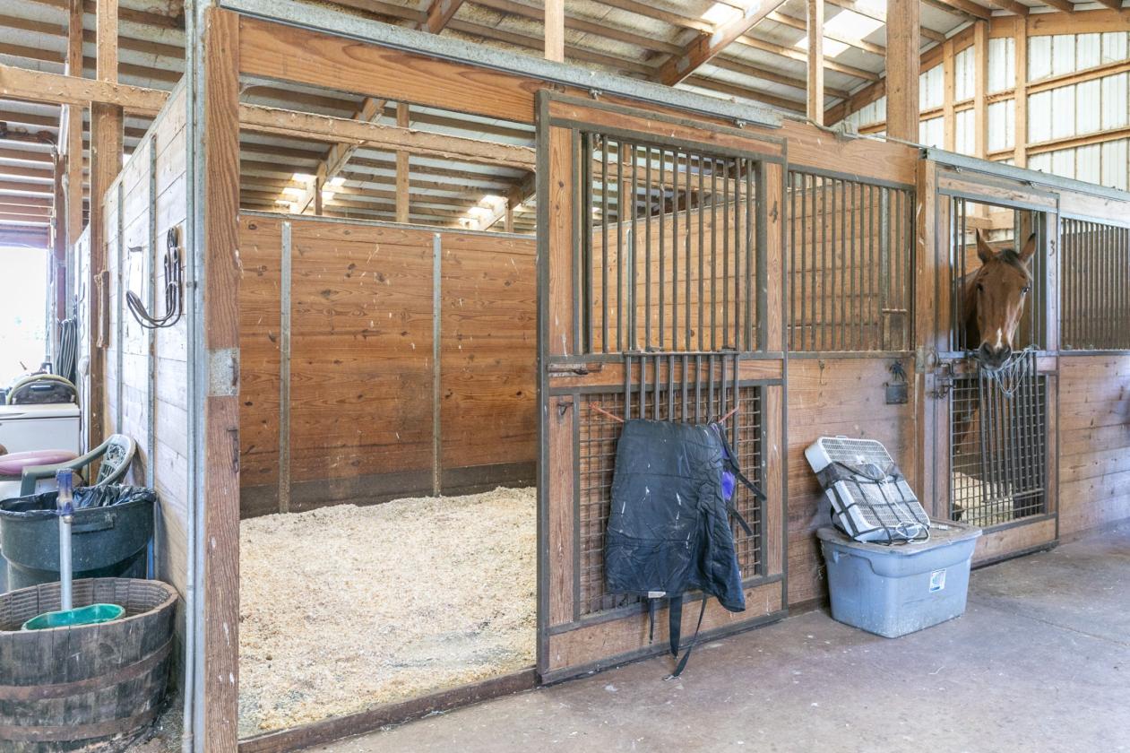 Professional Boarding/Training Facility - photo 11