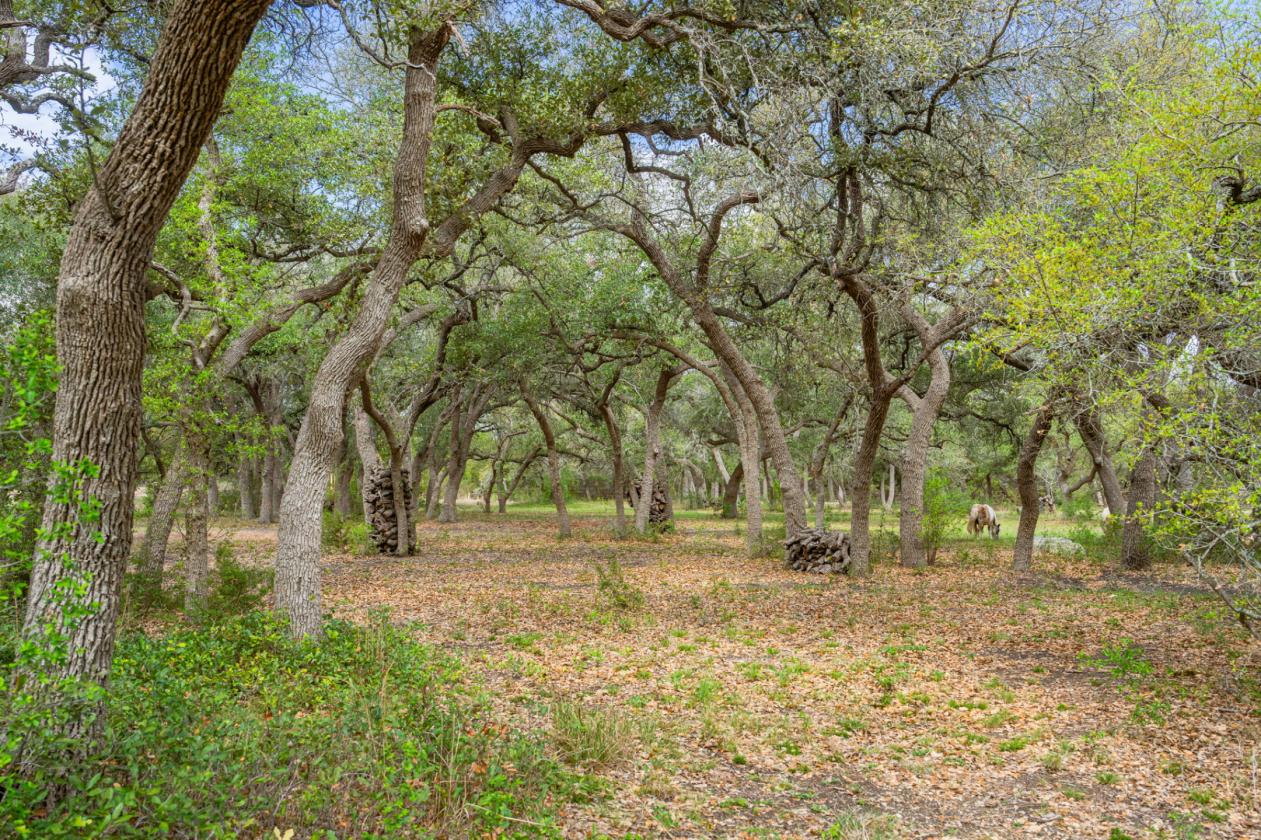 Rainbows End Ranch - photo 29