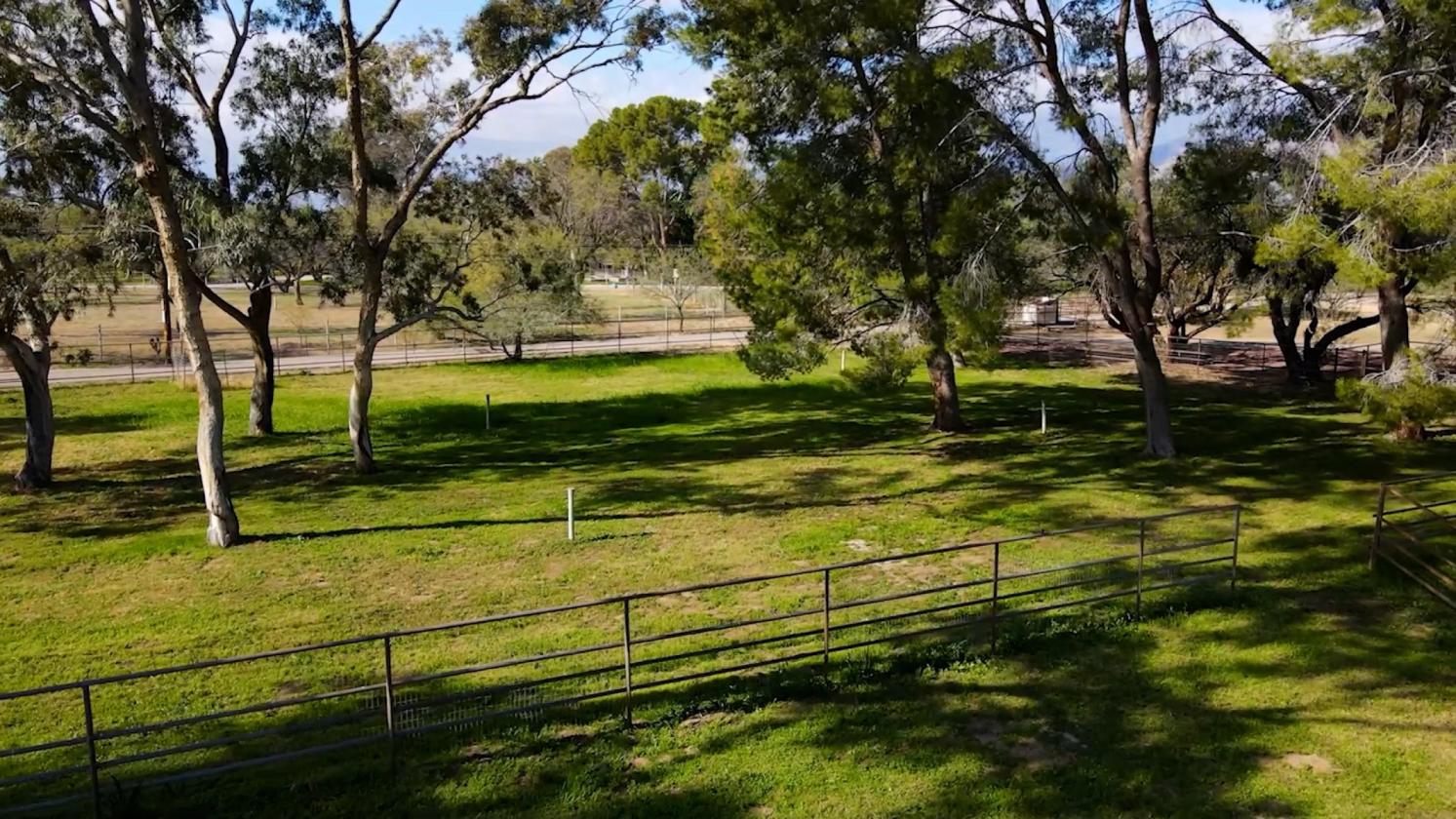 Elegant Custom Home with Grass Pastures - photo 7