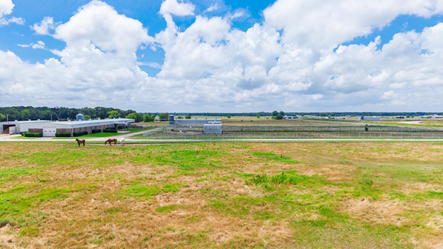 DIAMOND D RANCH EQUESTRIAN ESTATE - photo 20