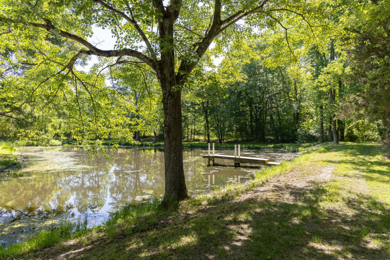 EKG Stables: 36-Acre Turnkey Equestrian Paradise - photo 13