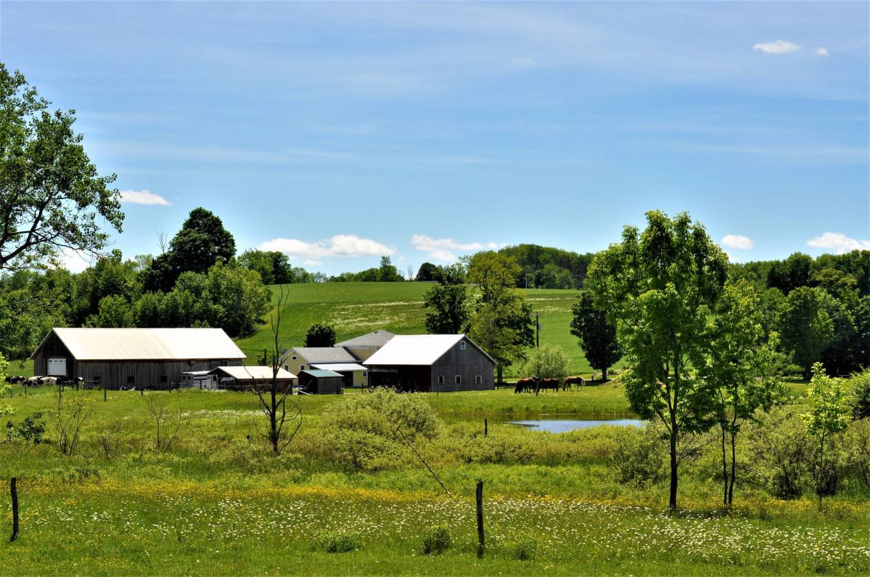 Spectacular views surround this 75 acre farm property; perfect for ...