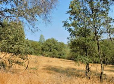 Property image.