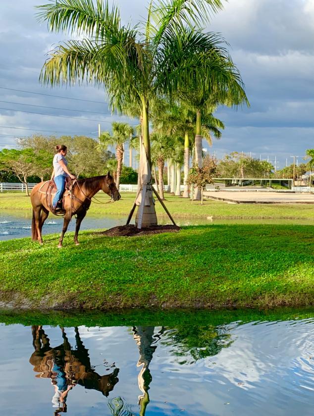 Equestrian Facility in Buckingham - photo 5