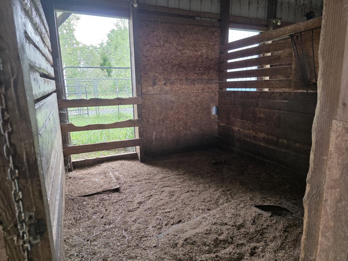 60x12 indoor riding arena,11 Stalls,10 acres,4 bed - photo 7