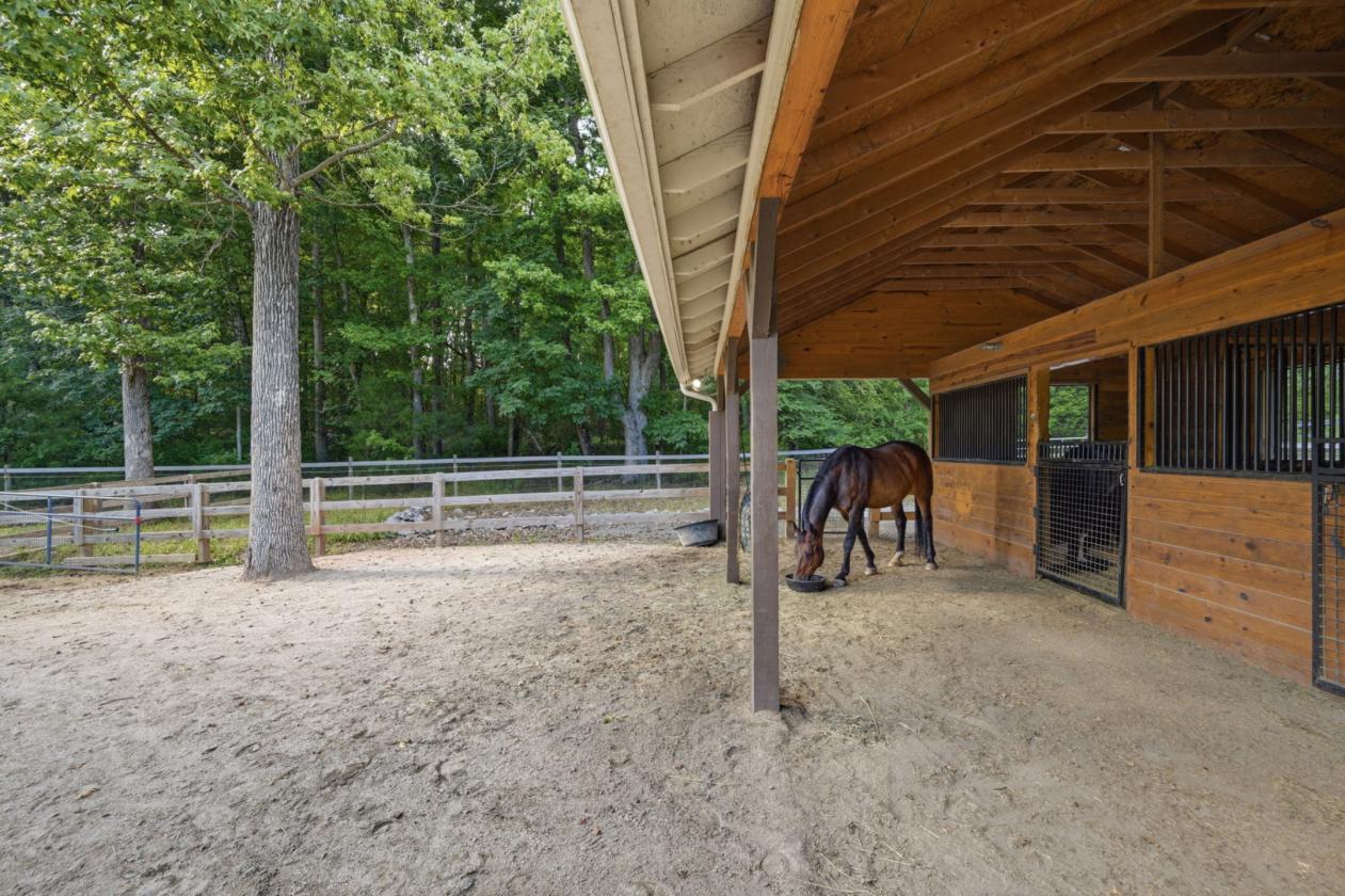 Luxury Equestrian Estate on 11.6 Acres - photo 23