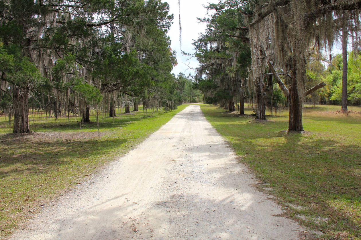 Incredible opportunity to own a truly authentic Southern Plantation