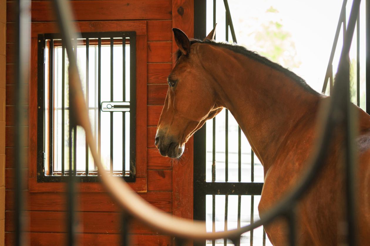 Stunning 1,000+ Acre Equestrian Land - photo 19