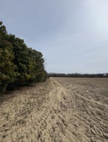 Property image.