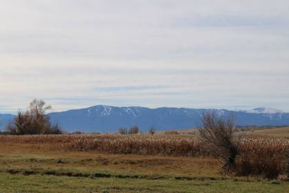 Property image.
