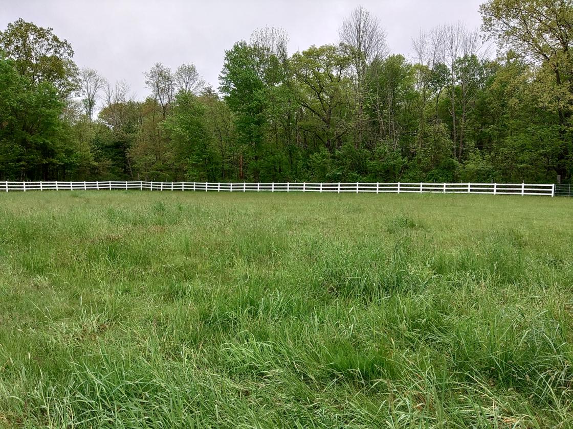 38 Acres with Updated Home, Barn, and Arena - photo 12
