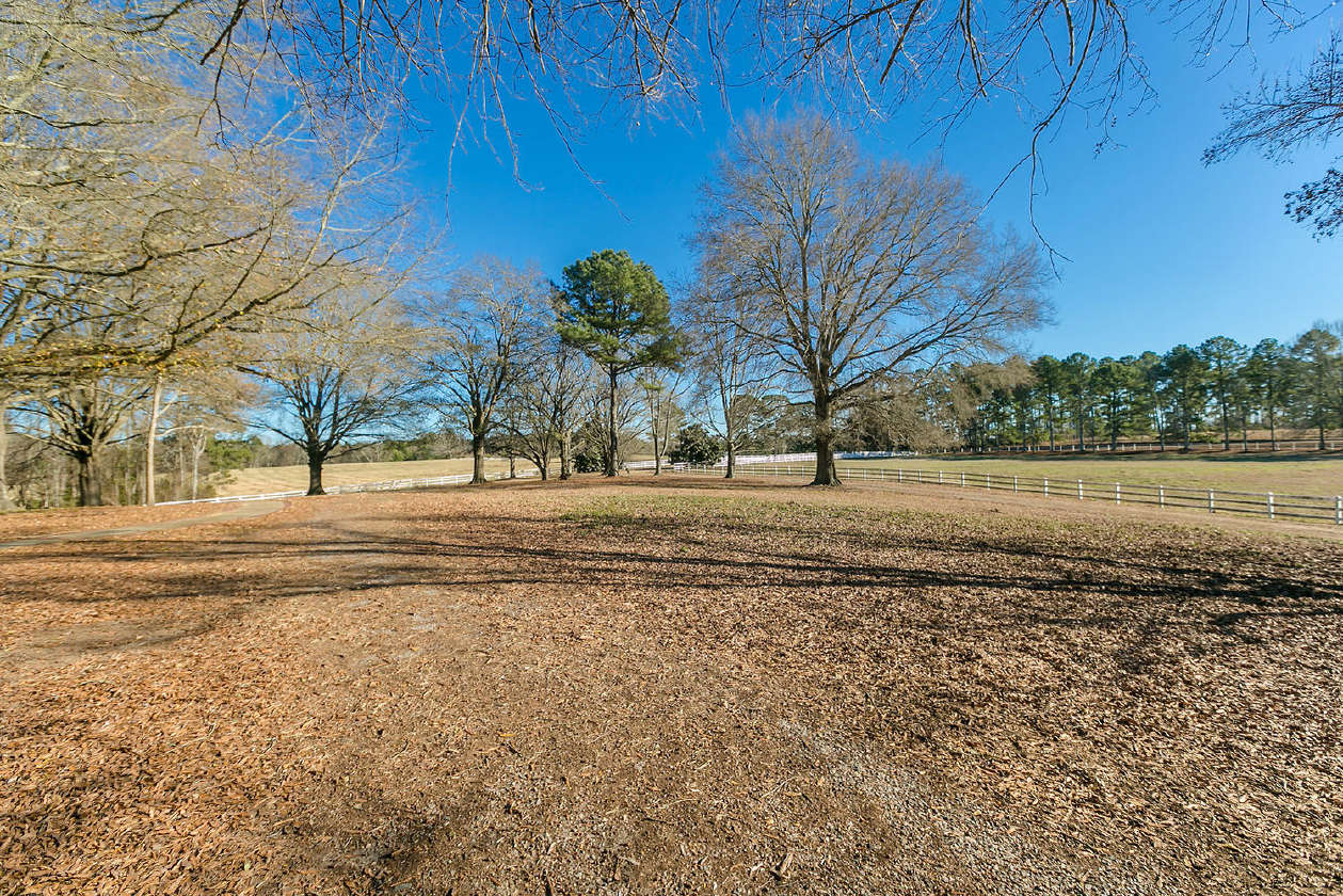 1,600 Acres in Sumter National Forest North Augusta Edgefield SC