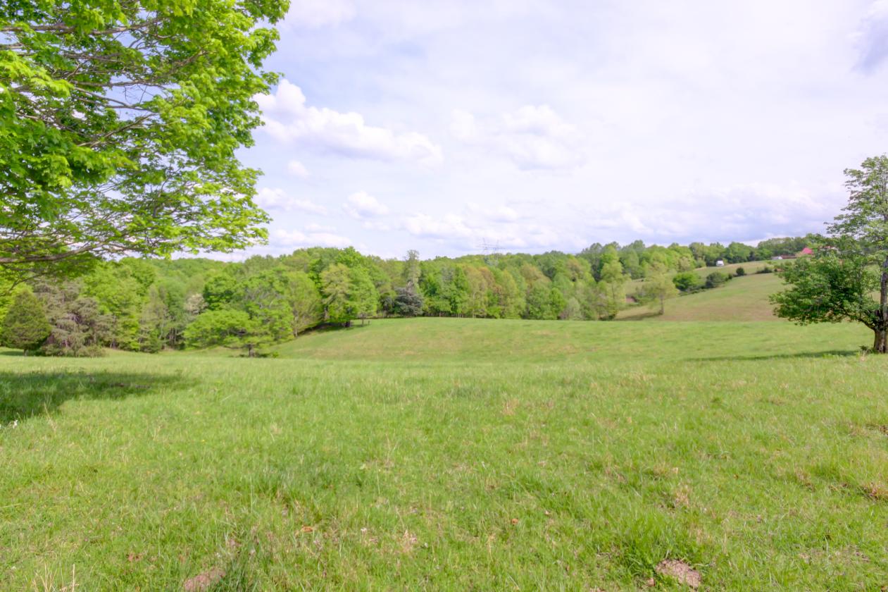 57 +/- Fenced Acreage - photo 7
