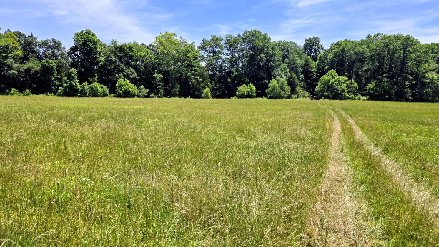 Large Farm Property With Water And Electric Onsite - photo 23