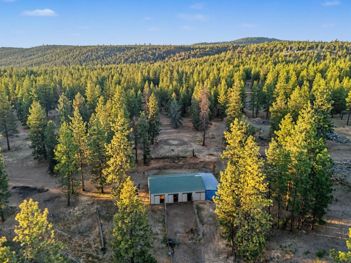 Stunning Log Home on 38.7 ac w/ barn & round pen - photo 25
