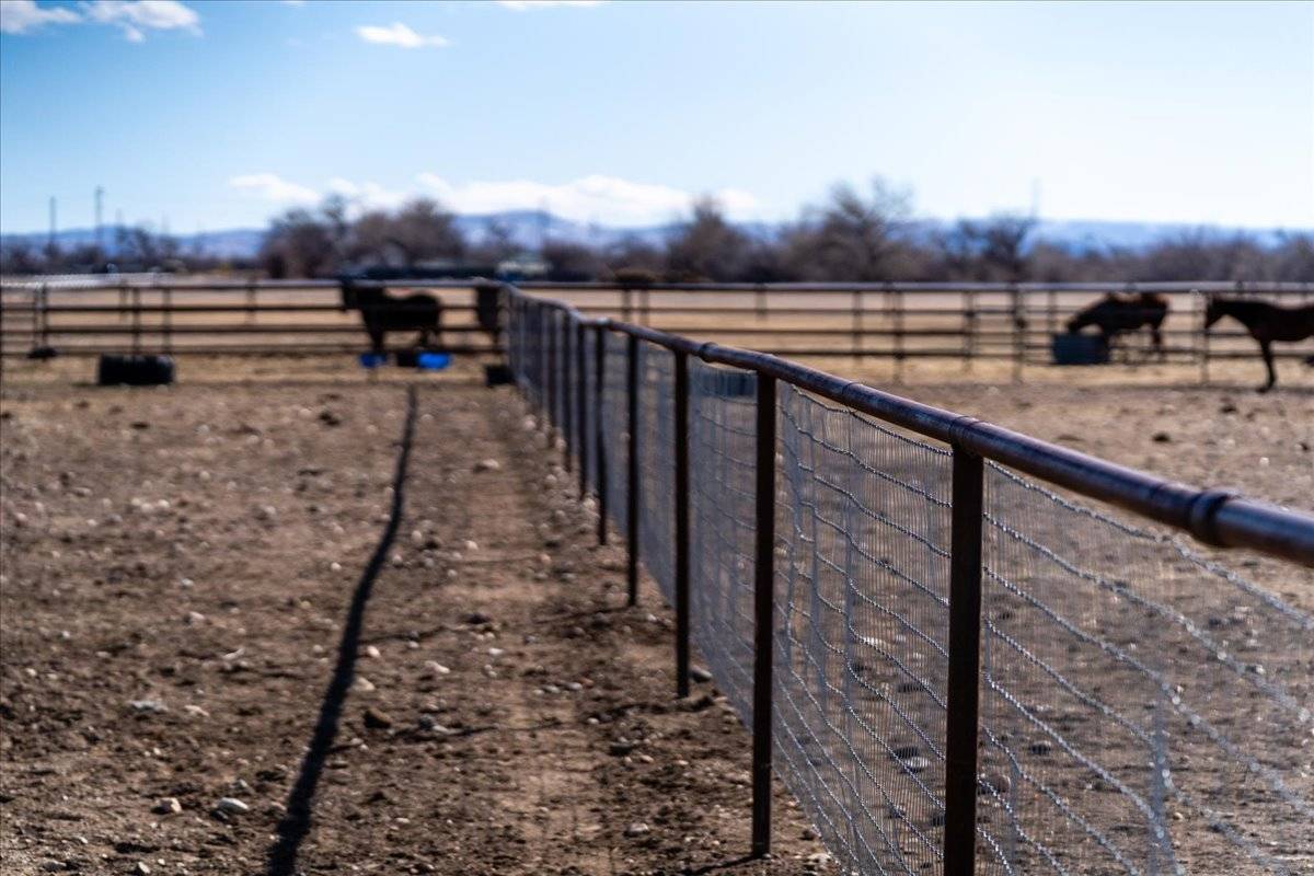 59.3AC, Irrigated Pasture, Indoor Arena, and Home - photo 17