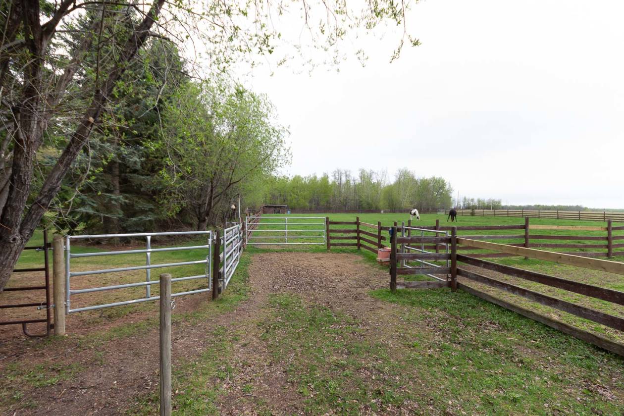 Amazing 80 acre ranch near Tawatinaw Valley Tawatinaw, Division No